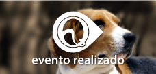 Programa Papo Vet - Dermatite Atópica em Cães